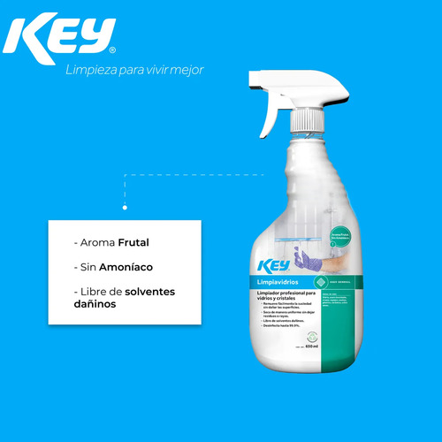 Kit De Automóviles Shampoo En Seco + Limpia Vidrios De 650ml