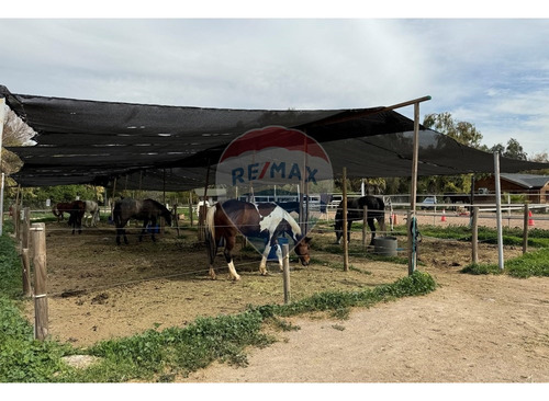 Se Vende Parcela Batuco De 8300 M2