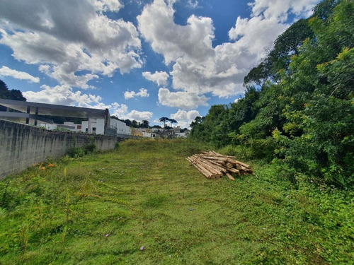 Imagem 14 de 19 de Área À Venda, 5053 M² Por R$ 1.350.000,00 - Tingui - Curitiba/pr - Ar0001