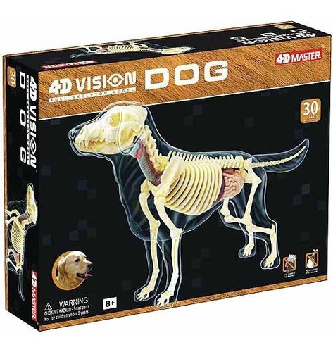 Modelo De Esqueleto De Perro Visión Completa 4d