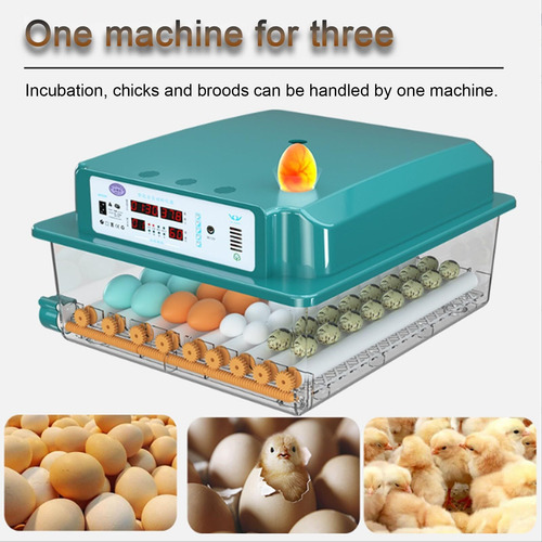 Incubadora De Ovos 16eggs Com Virador E Controle Automáticos