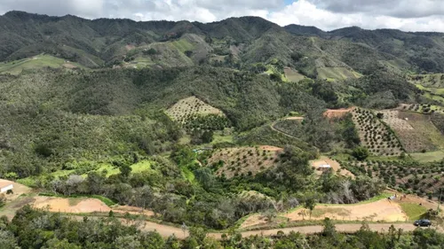 Lote De 5.000 M2 En San Vicente Ferrer, Vereda Montegrande Vía A Concepción