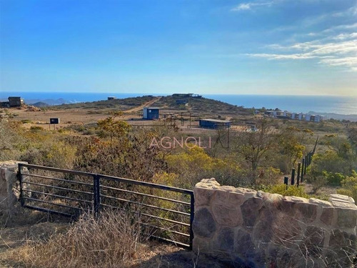 Imagen 5 de 10 de Sitio En Venta En La Ligua