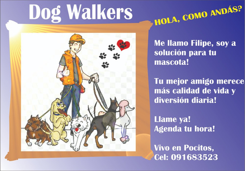 Imagen 2 de 5 de Paseador De Perro