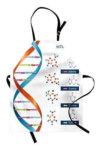 Ambesonne Science Apron, Dna Bases Chemistry Biochemistry Bi