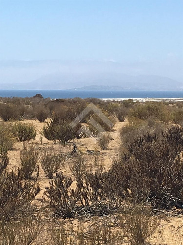Sitio En Venta Primera Línea En La Comuna De Coquimbo