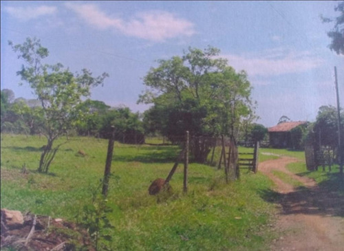 Imagem 8 de 8 de Terreno Amplo - Te2103