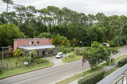 Apartamento De 1 Dormitorio Y Medio, A La Venta, En Punta Del Este- Ref: 3883