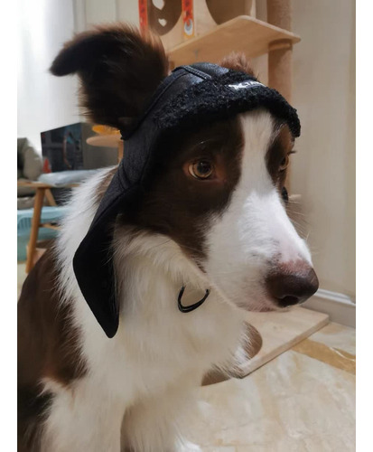 Gorro Para Mascotas, Gorro De Aviador Retro Para Perros, Gor