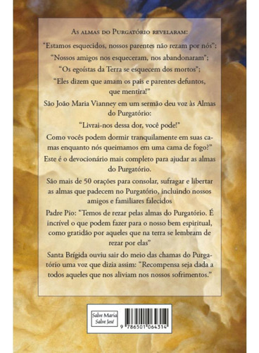 Devocionário Pelas Almas Do Purgatório: Livrai-nos Dessa Dor, De Ricardo Pio Maria. Editorial Salve Maria Salve José, Tapa Mole, Edición 1 En Português, 2024