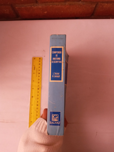 Compendio De Anatomía Descriptiva L. Testut (Usado)