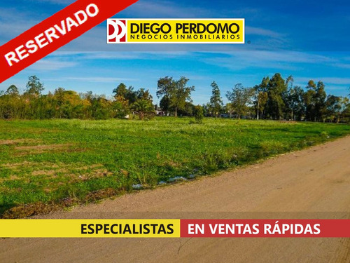 Terrenos, En Venta, Playa Pascual