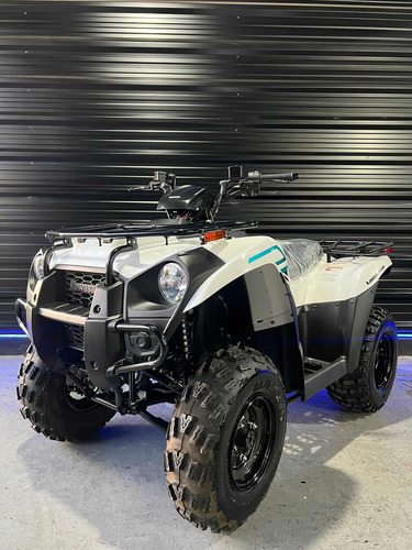 Kawasaki Brute Force 300 0km - Entrega Ya 0km - Envios