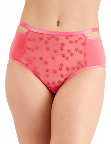 Inc International Concepts Panties Bordada De Frente Transpa