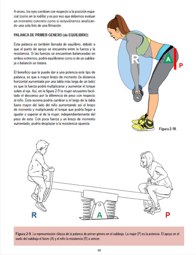 Fuerza Entrenamiento Y Anatomía Miembros Inferiores Tomo 2