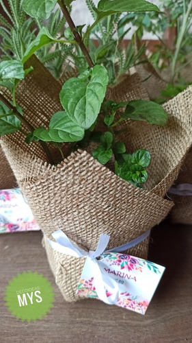 Souvenirs De Plantines De Aromáticas X 10