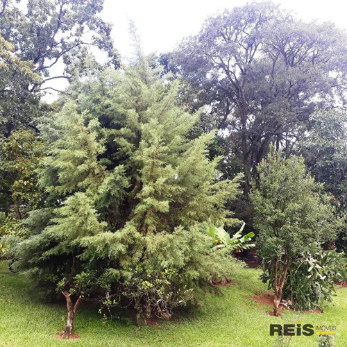 Imagem 6 de 30 de Chácara Com 5 Dormitórios À Venda, 30000 M² Por R$ 2.500.000,00 - Capoavinha - Salto De Pirapora/sp - Ch0100