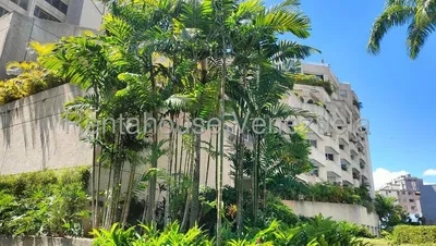 Apartamento en alquiler