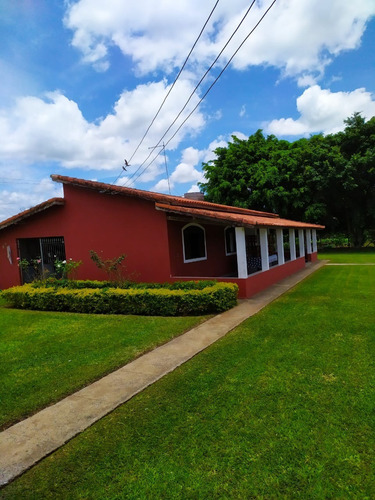 Imagem 19 de 30 de Chácara 30.000m2,casa Sede E Caseiro,pomar,chiqueiro,curral,churrasqueira,piscina,salão,tanque Pesca,galinheiro,quarto Ferramentas,cercado,escriturada - Ch00092 - 69588354