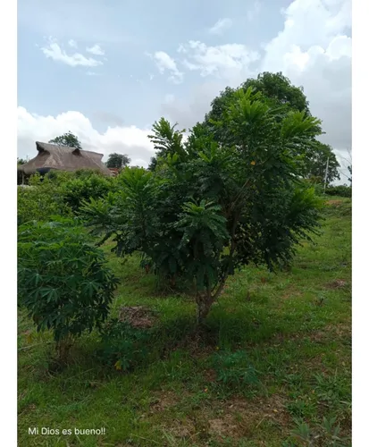 Lote En Venta, Ubicado En Turbaco,bolivar
