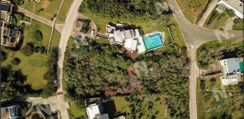 Imagen 6 de 8 de Terreno En Venta - Punta Ballena Lomo De La Ballena