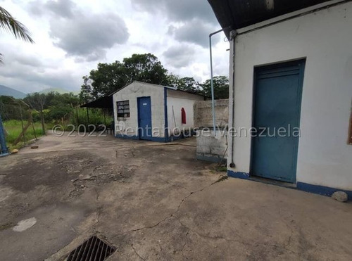 Imagen 14 de 20 de Finca Avicola En Venta Bejuma Carabobo
