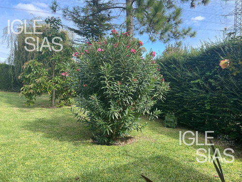 Casa En Alquiler Tigre De 4 Dormitorios En Rincón De La Costa, Rincón De Milberg