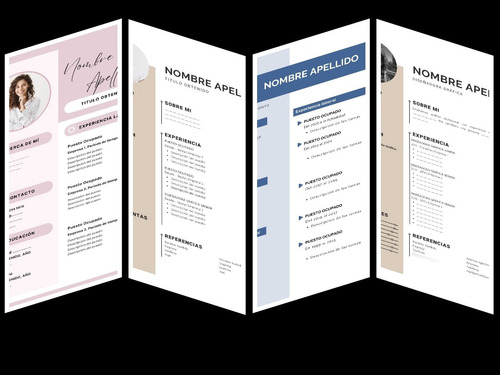 Cv Curriculum Vitae Armado Personalizado