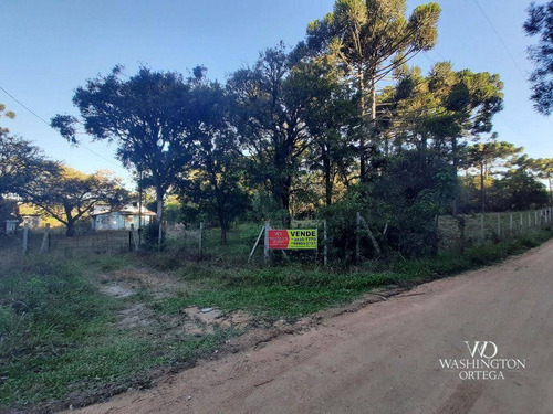 Chácara À Venda, 31000 M² Por R$ 659.000,00 - Cachoeira - São José Dos Pinhais/pr - Ch0066