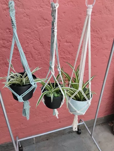 Ahuyentar índice Oferta de trabajo Colgantes Para Plantas En Macrame | MercadoLibre 📦