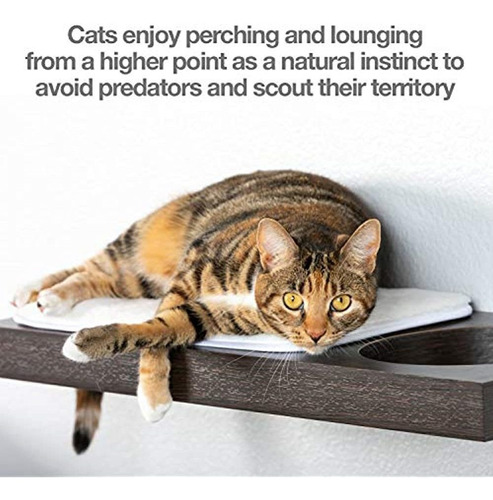 Estantes De Pared Petfusion Cat Activity (disponibles Como J