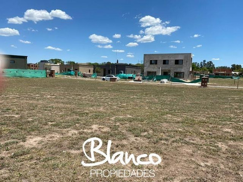 Imagen 8 de 14 de Oportunidad! Espectular Lote Con Fondo A Pulmón Verde En Pilar Del Este - Santa Lucía