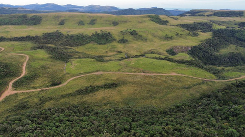 Oportunidade! 2 Hectares A Partir De R$ 99.000,00