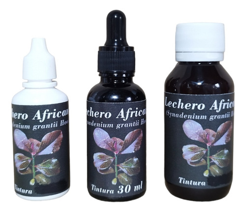 Tintura Lechero Africano 125 Ml Pack Viajero Horganifrut