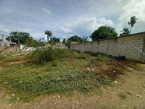 Imagen 4 de 5 de En Venta Terreno Muy Bien Ubicado, En San Fernando De Los Robles Municipio Maneiro