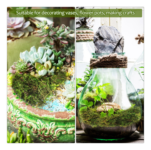 Plantas Artificiales De Interior, Musgo Teñido De Verde, Mus