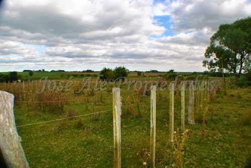 Imagen 9 de 14 de En Venta Campo De 137 Ha Colonia Del Sacramento