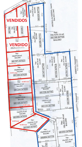 Lotes De 10.000 Mts 2 En Villa San Isidro