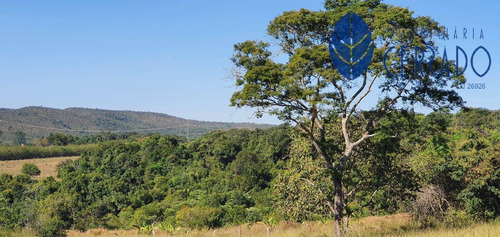 Imagem 7 de 15 de Chácara À Venda Em Alexânia-go - Ch4232335
