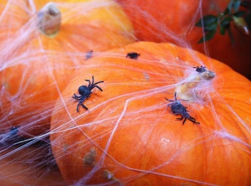 Imagem 3 de 6 de 63pc Decorações De Halloween Realistas Da Teia De Aranha A