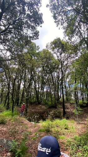 Imagen 9 de 10 de Venta Terreno Real Del Monte Hidalgo Ideal Para Cabañas