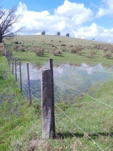 Oportunidad !! Chacra A 8 Km De Ciudad De Minas