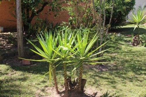 Chacara-para-venda-em-loteamento-chacaras-vale-das-garcas-campinas-sp - Ch0024