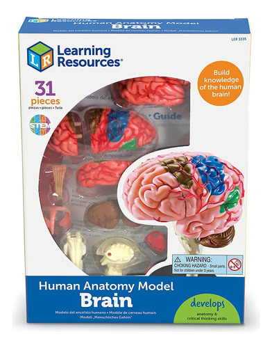 Modelo Cerebro Learning Resource