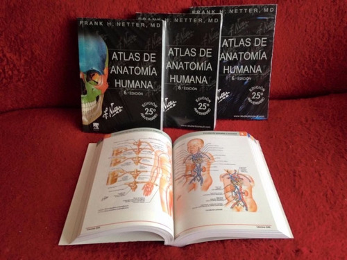 Atlas De Anatomia Humana F. Netter 6ta Edición, Santiago