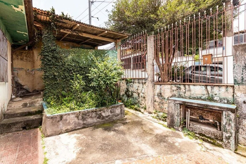 Imagem 3 de 9 de Terreno À Venda No Bairro Vila Matilde - São Paulo/sp - O-26155-42962