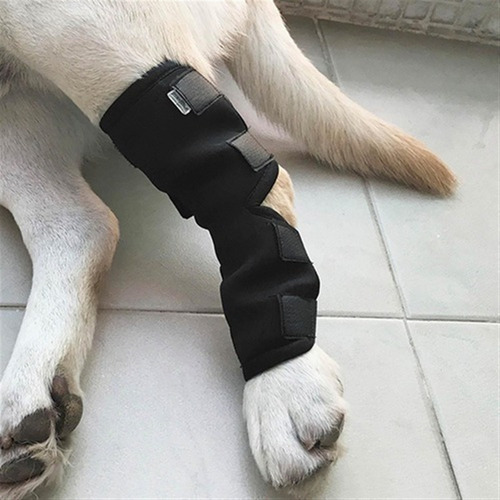 Soporte Para Piernas Para Perros, Codera Y Rodillera Para Ma
