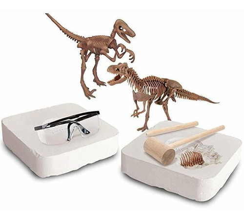 Discovery #mindblown Toy Dinosaur 3d Fossil Skeleton Excavat