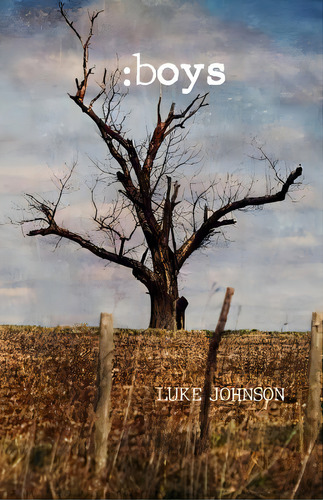 Boys, De Johnson, Luke J.. Editorial Lightning Source Inc, Tapa Blanda En Inglés