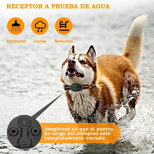 Collar Choque Para Perros Collar Adiestramiento Para Perros